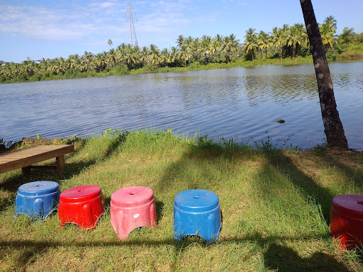 On-Shore Fishing post image