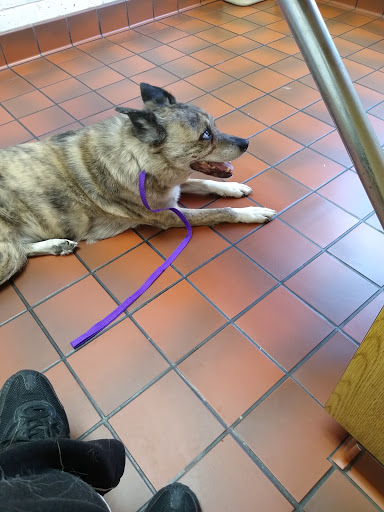 Redwood Veterinary Hospital - Thumbnail