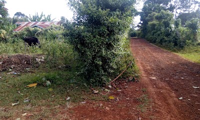 Photos of Mathaithi Primary School