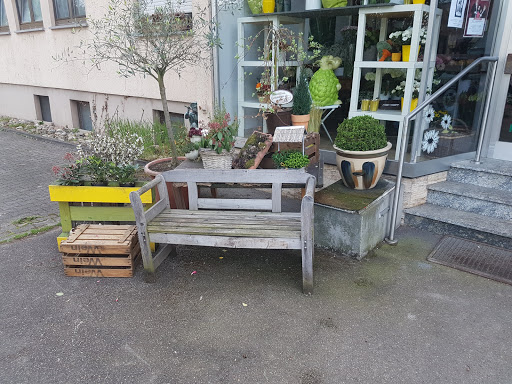 Blumen Grosse - Thumbnail