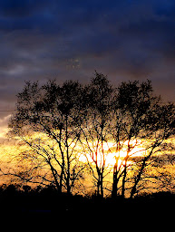 Photo n°14 de Camping familial de La Prévôté ( anciennement des 2 ânes) à Périssac (Terrain de camping)