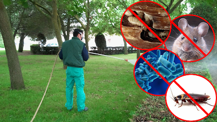 3 D TRATAMIENTOS BIOSANITARIOS