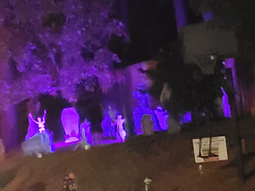 Mirror Lake Lights - Thumbnail