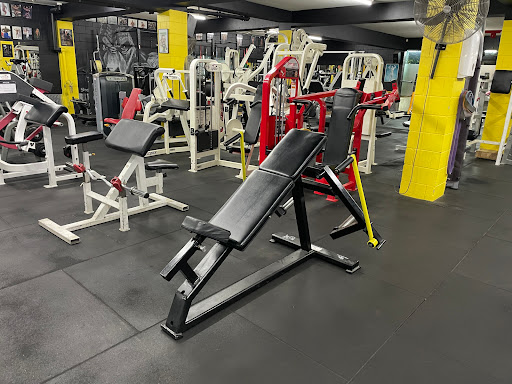 Australian Muscle The Gym 24/7