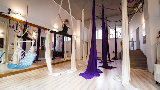 Gimnastyka Powietrzna School Warszawa (FLY SCHOOL )