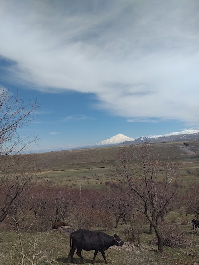 Amcaoğlu Alabalık Tesisleri