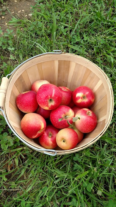 Photos of Coston Farm & Apple House