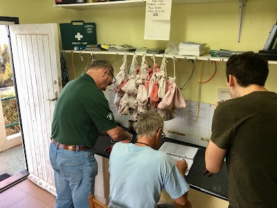 Photos of Gibraltar Ornithological and Natural History Society (GONHS)