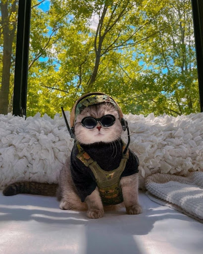 Dr.Boosky - Visual