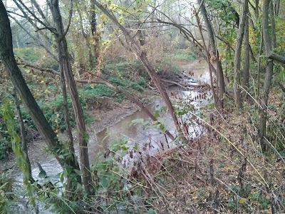 Bosco Est Sesia - Pro Natura Novara