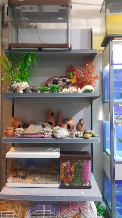 Maviş Akvaryum Pet Shop