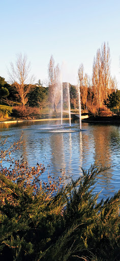 Surtidores del Lago del Parque Central - Thumbnail