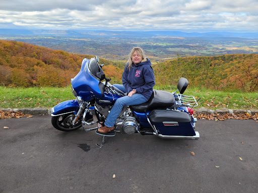 Pine Tree Overlook - Visual