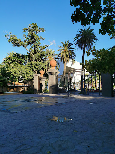 Sinaloa Park - Visual
