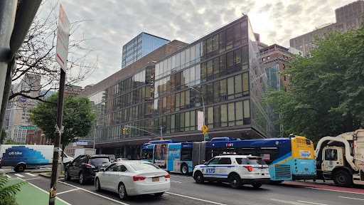 NYC Health + Hospitals / Bellevue. - Thumbnail