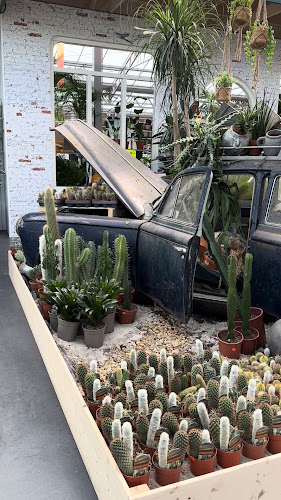 Spekvers & Voordeel Tuincentrum - Zevenhuizen