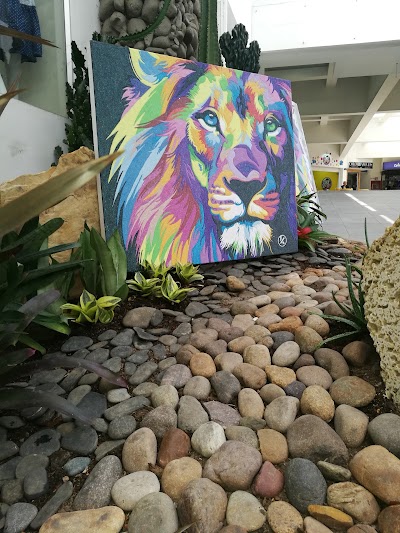 Photos of Pereira Plaza Shopping Center