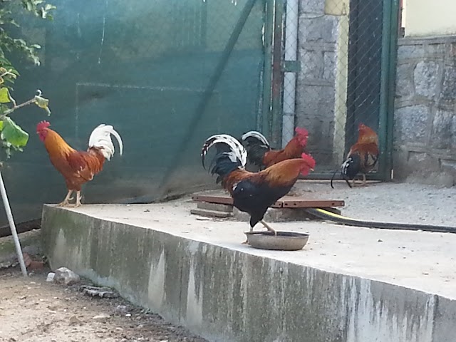 Club de Tiro Cantoblanco