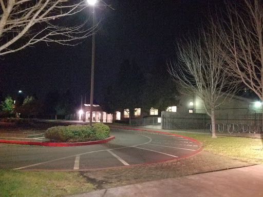 Weddle School - Visual