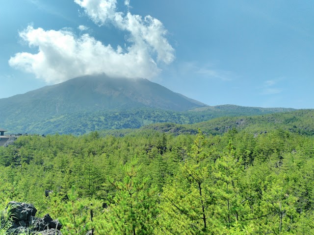 Arimura Lava Observatory