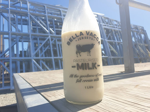 Bella Vacca Jerseys Farm Fresh Milk - Thumbnail