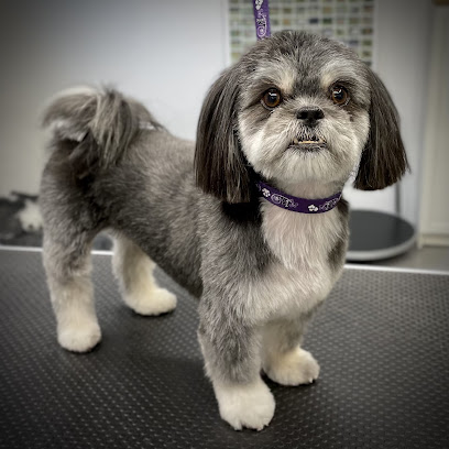 SKIBHUS HUNDESALON