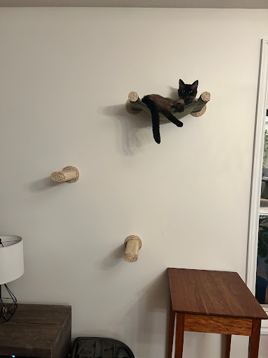 Purrfect Catbird Seat - Thumbnail