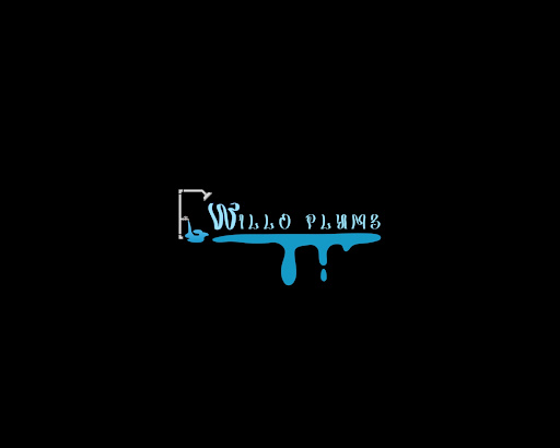 WilloPlumb - Visual
