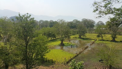 Photos of Atenciones Patepluma