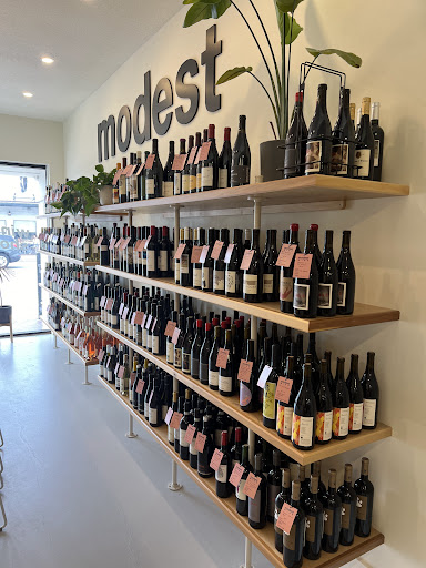 Modest Wine - Visual