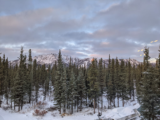 Raven About Alaska!