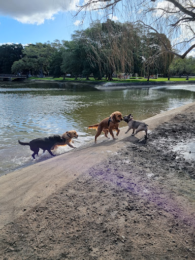 Islington Dog Off-Leash Area - Thumbnail