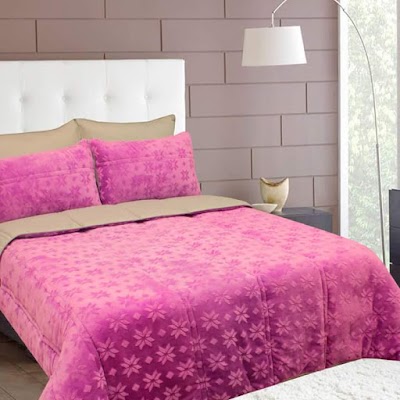 Photos of Home Fair