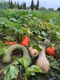 Photo n°77 de au jardin de Montblanc à Montblanc (Restaurant)
