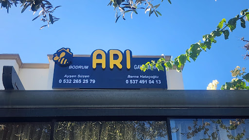 Bodrum Arı Gayrimenkul