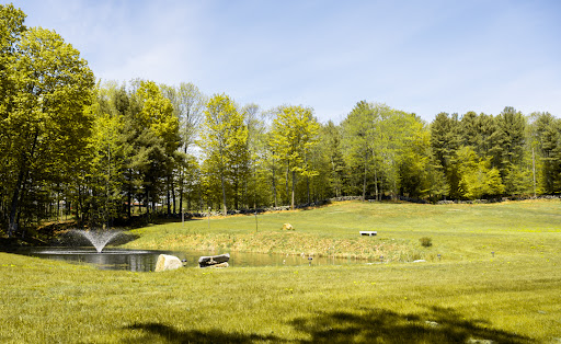 Golden Pine Farm & Wedding Barn - Thumbnail