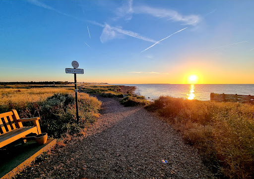 Francesca's Bench - United Kingdom