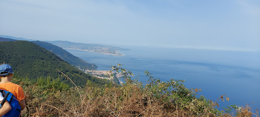 Costa Viola - Thumbnail