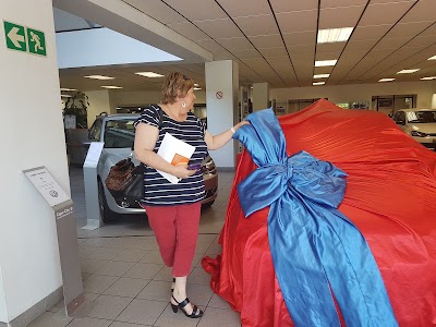 car-dealer