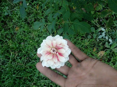 Photos of Cyber Bendicion de Dios
