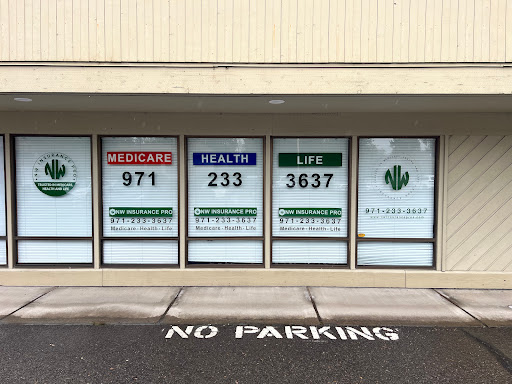 NW Insurance Pros