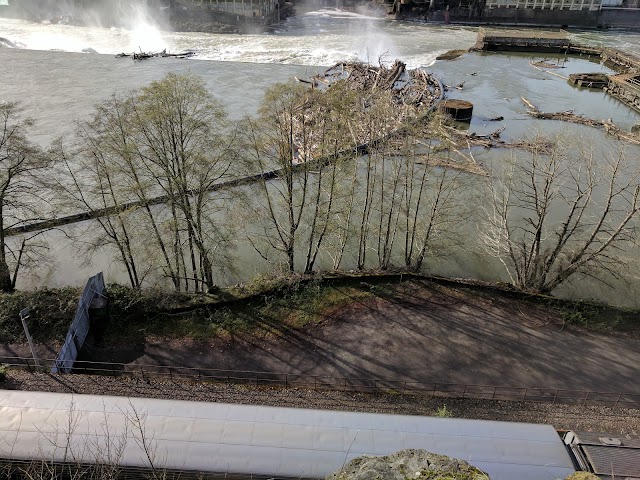 Willamette Falls