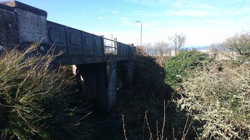 Maybole - Thumbnail