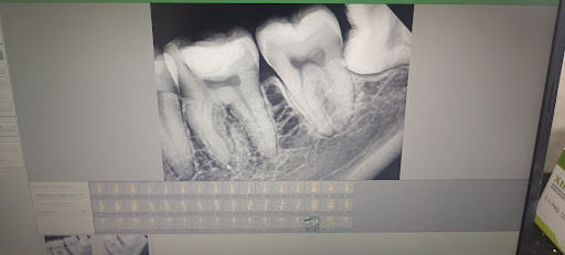 Gallery image 10