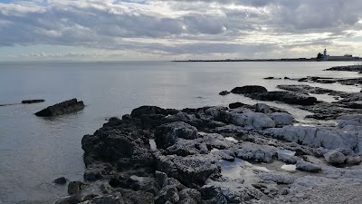 Photos of Hotel Parco Degli Ulivi