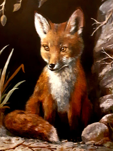 Fox Agency Real Estate Cambridge NZ (Licenced REA 2008) MREINZ