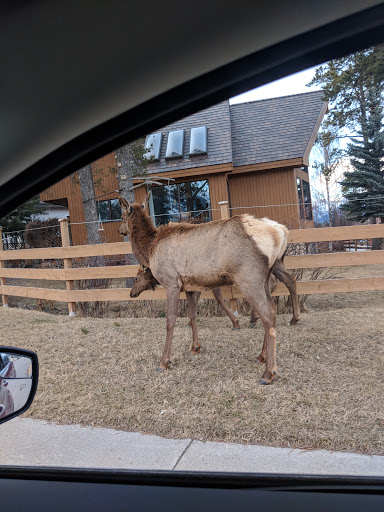 Accommodations Jasper - Visual