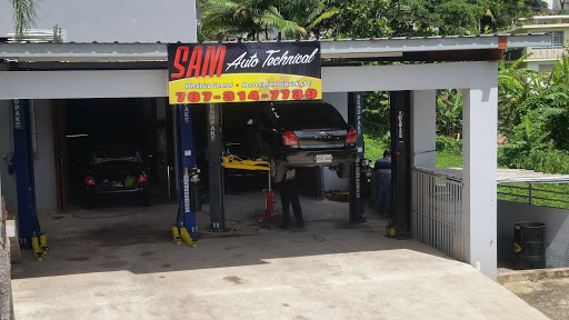 SAM AUTO TECHNICAL - Visual