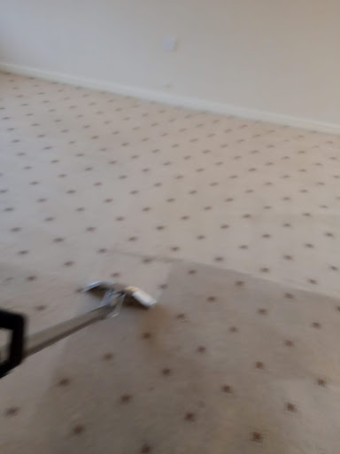 Magic Carpets - Visual