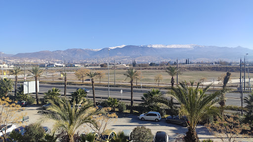 Cc Nevada - Visual